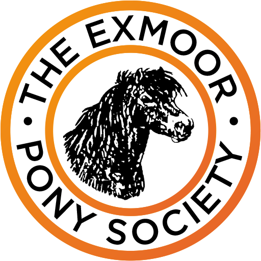 Midland Exmoor Show 2024