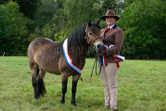 CHAMPIONSHIP (1) YOUNGSTOCK IN HAND